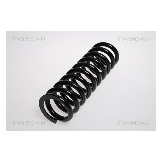 8750 23160 - Coil Spring 