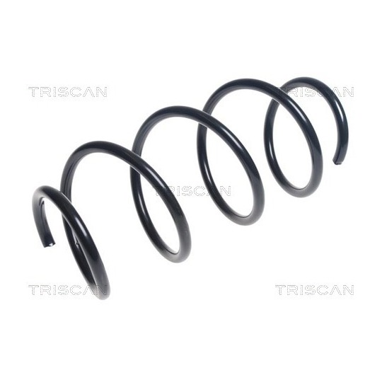 8750 23175 - Coil Spring 