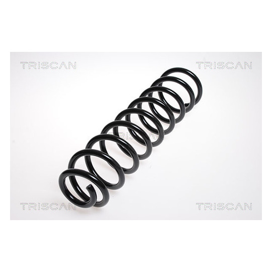 8750 2381 - Coil Spring 