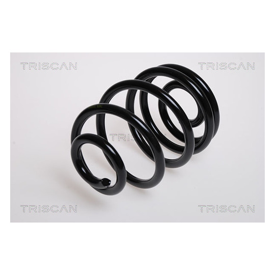 8750 24019 - Coil Spring 