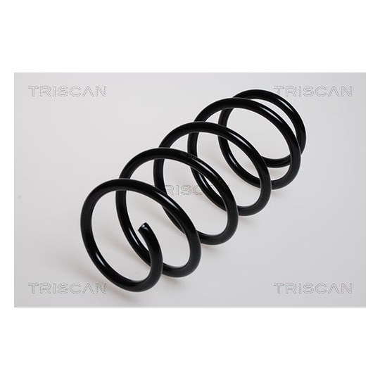 8750 24030 - Coil Spring 