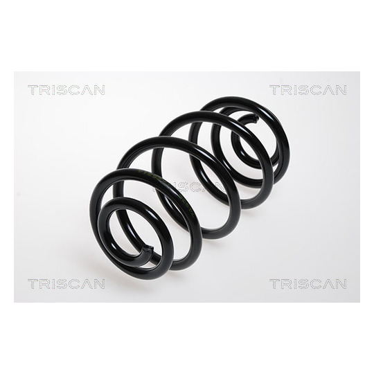 8750 24042 - Coil Spring 