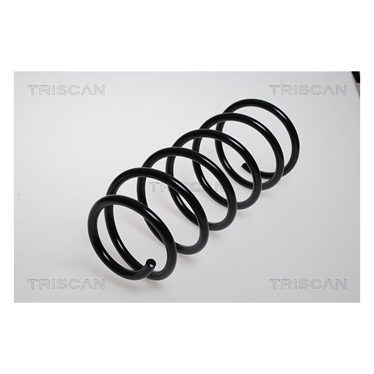 8750 24057 - Coil Spring 