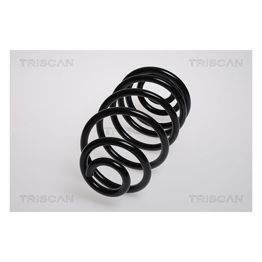 8750 24129 - Coil Spring 