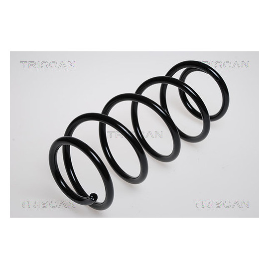 8750 24102 - Coil Spring 