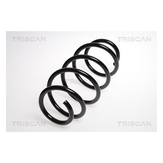 8750 24124 - Coil Spring 