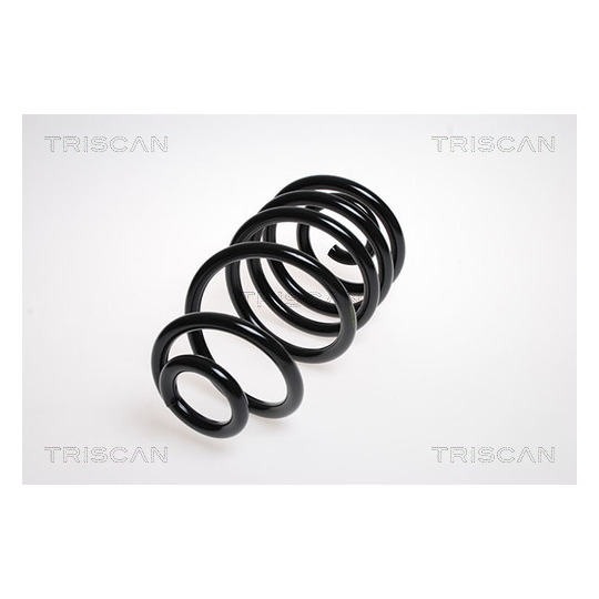 8750 24125 - Coil Spring 