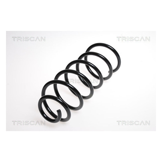 8750 24117 - Coil Spring 