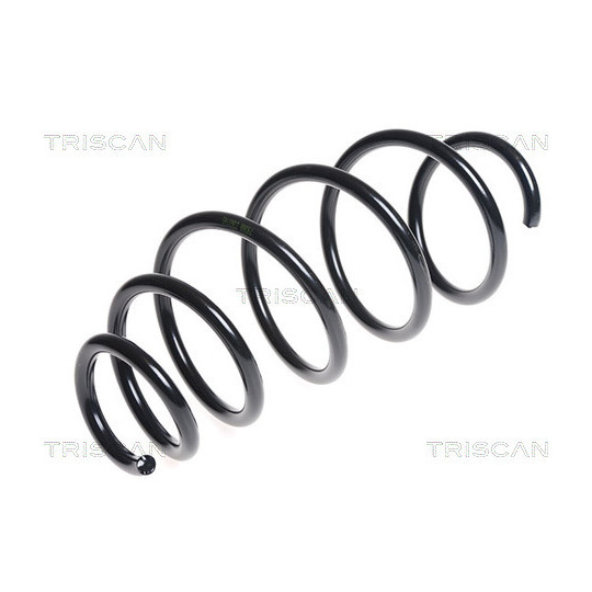 8750 24161 - Coil Spring 