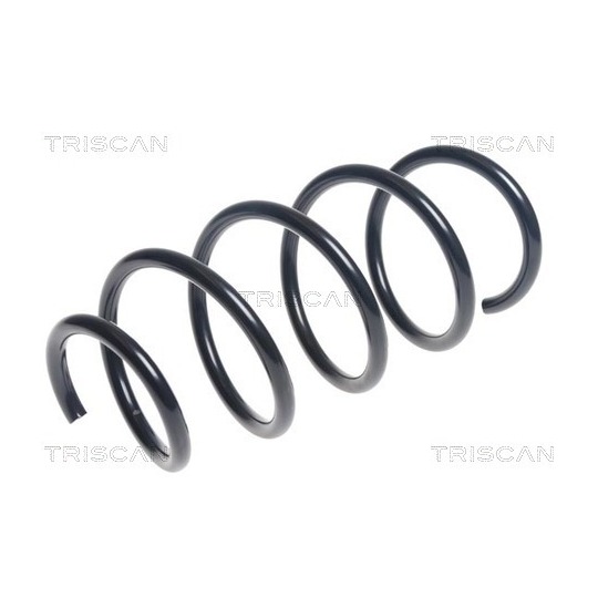 8750 24192 - Coil Spring 