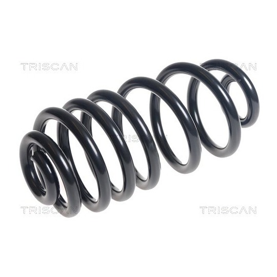 8750 24189 - Coil Spring 