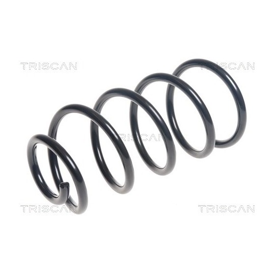 8750 24194 - Coil Spring 