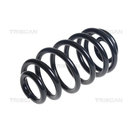 8750 24188 - Coil Spring 