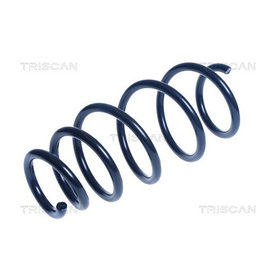 8750 24185 - Coil Spring 