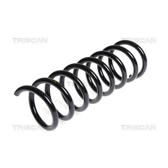 8750 25107 - Coil Spring 