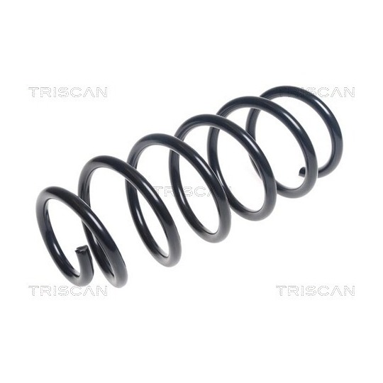 8750 24198 - Coil Spring 