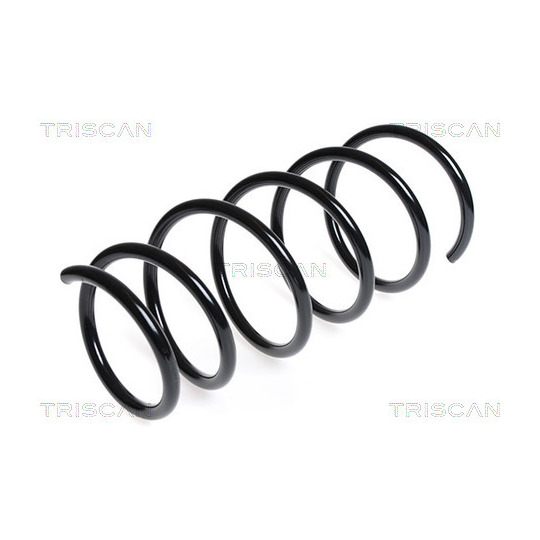 8750 25106 - Coil Spring 