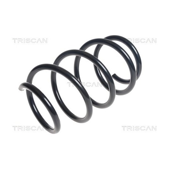 8750 25121 - Coil Spring 