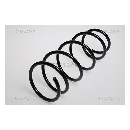 8750 2521 - Coil Spring 