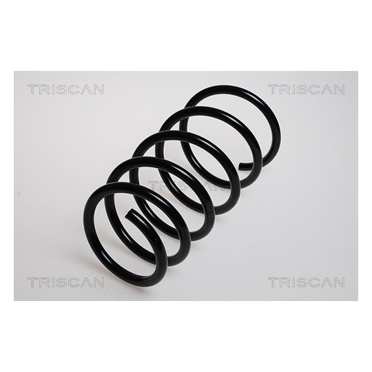 8750 2525 - Coil Spring 