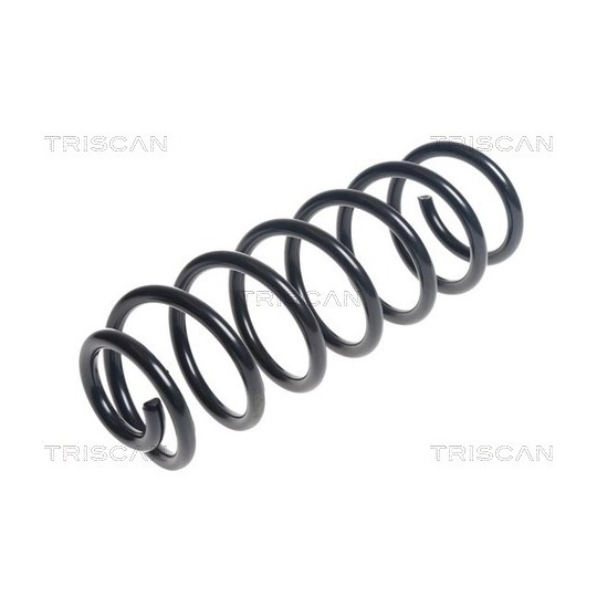 8750 25122 - Coil Spring 