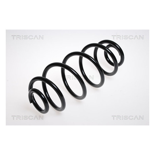 8750 2541 - Coil Spring 