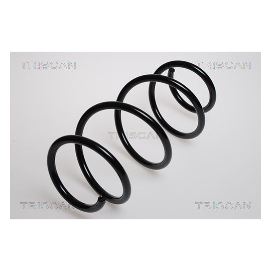 8750 2532 - Coil Spring 