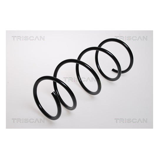 8750 2536 - Coil Spring 