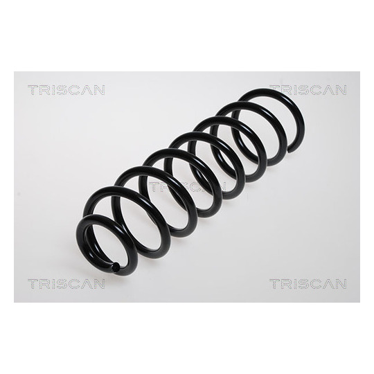 8750 2551 - Coil Spring 