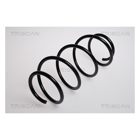 8750 2753 - Coil Spring 