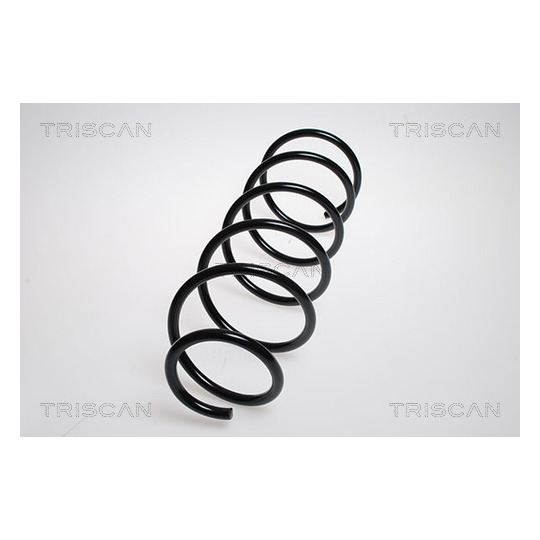 8750 28123 - Coil Spring 