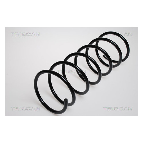 8750 2819 - Coil Spring 