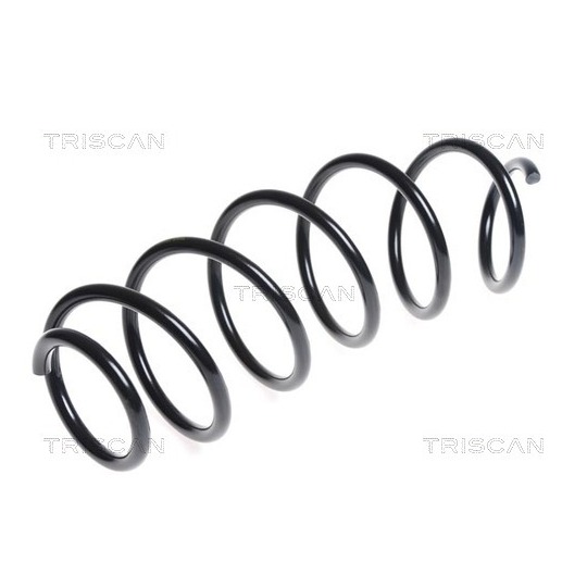 8750 28196 - Coil Spring 