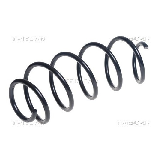 8750 28256 - Coil Spring 