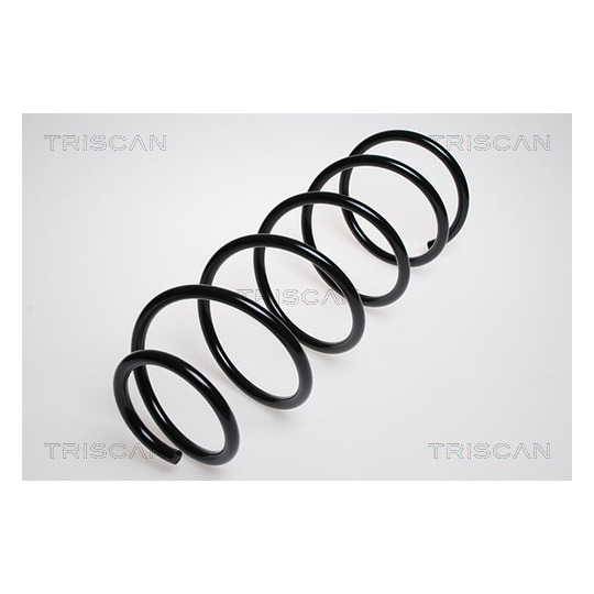 8750 2838 - Coil Spring 