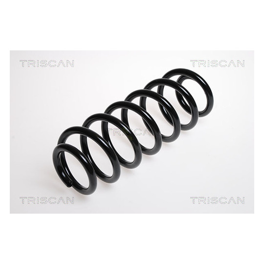 8750 2878 - Coil Spring 