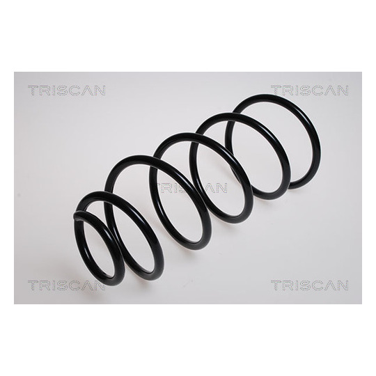 8750 2875 - Coil Spring 