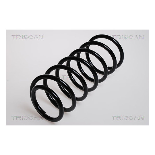 8750 29016 - Coil Spring 