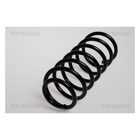 8750 29017 - Coil Spring 