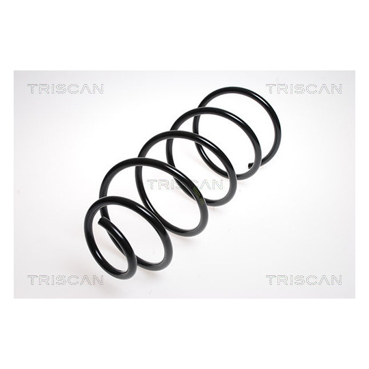 8750 2887 - Coil Spring 