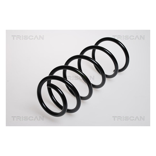 8750 29081 - Coil Spring 