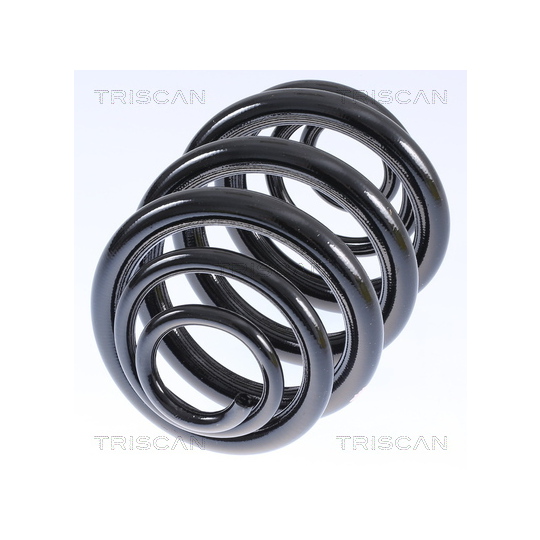 8750 29040 - Coil Spring 