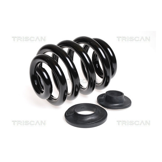 8750 29137 - Coil Spring 