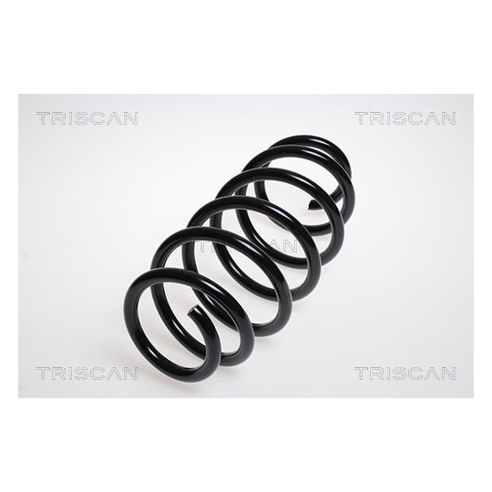 8750 29171 - Coil Spring 