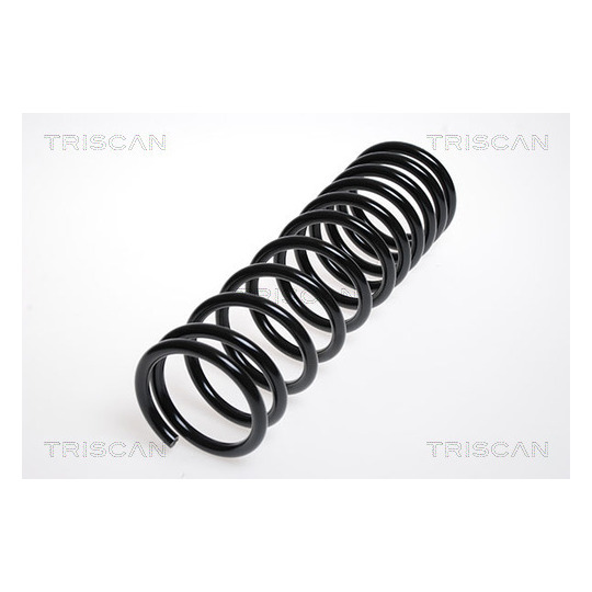 8750 2918 - Coil Spring 