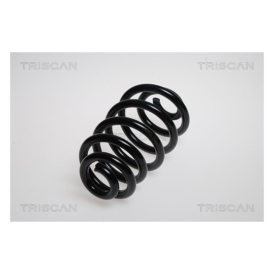 8750 29181 - Coil Spring 