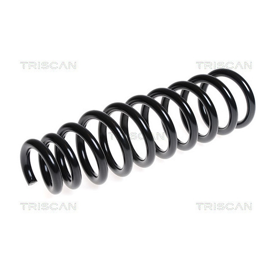 8750 29257 - Coil Spring 