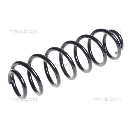 8750 29301 - Coil Spring 