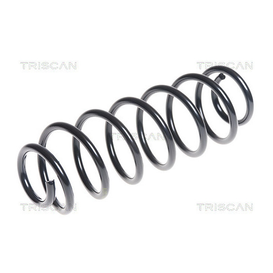 8750 29302 - Coil Spring 