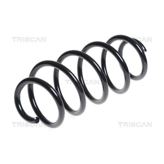 8750 29317 - Coil Spring 